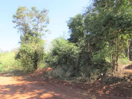 Chácara Santo Antônio do Descoberto