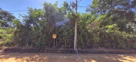 Lote no Residencial Vale das Palmeiras