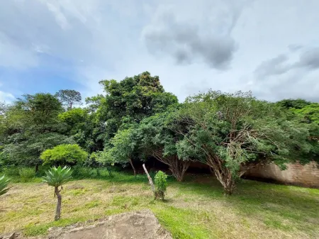 Terreno no Setor Conde dos Arcos