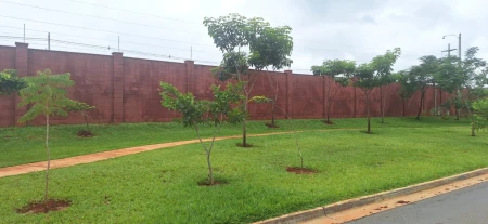 Lote no Jardins Parma