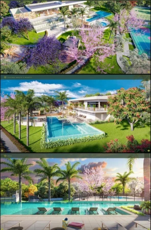 Lote Vinhas Flamboyant