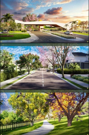 Lote Vinhas Flamboyant