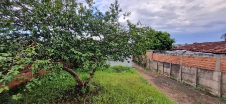 Lote Jardim Helvécia