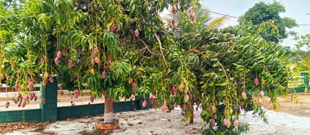 Casa Condomínio Águas do Capivari