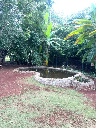Lote Condomínio Rosa de Leiria
