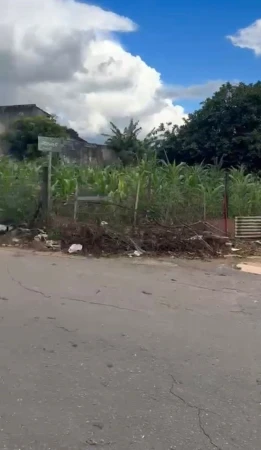 Lote no Jardim América