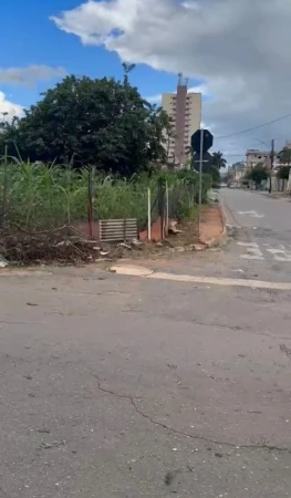 Lote no Jardim América