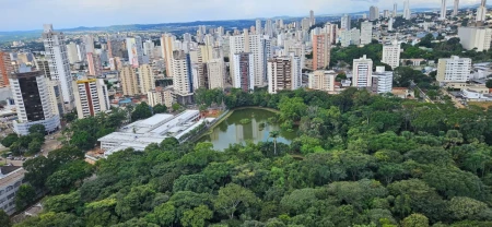 Copas do Bosque