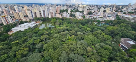 Copas do Bosque