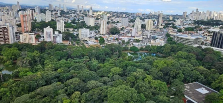 Copas do Bosque