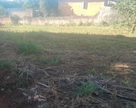 Lote no Setor Jaó