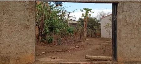 Casa no Jardim Buriti Sereno