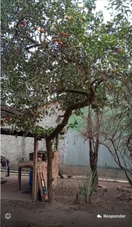 Casa no Jardim Buriti Sereno