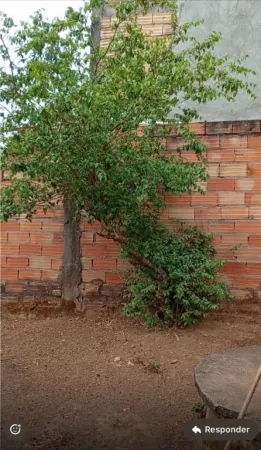 Casa no Jardim Buriti Sereno