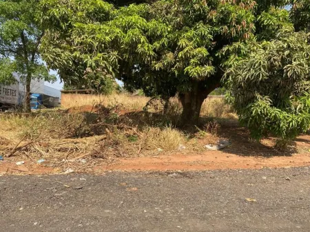 Terreno Sítio de Recreio Ipê