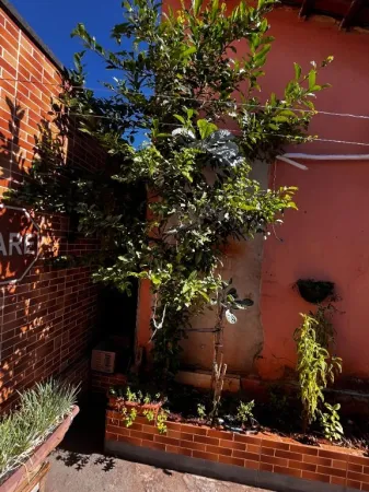Casa no Industrial Mooca