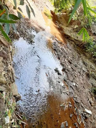 Chácara no Conjunto Estrela do Sul