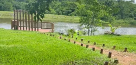 Lote no Jardins Porto