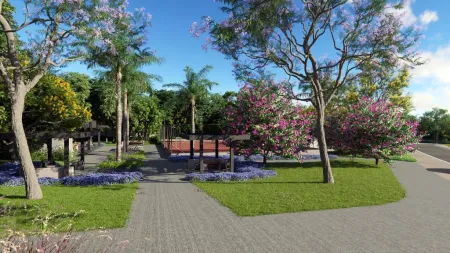 Lotes no Setor São José