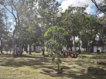 Terreno no Residencial Por do Sol