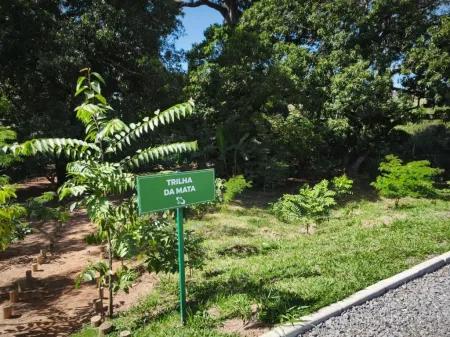 Lote no Jardins Versalhes