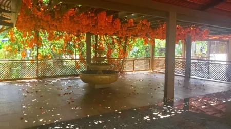 Chácara no Setor Chácaras de Recreio Samambaia