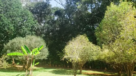 Chácara no Setor Chácaras de Recreio Samambaia