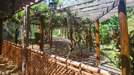 Chácara no Setor Chácaras de Recreio Samambaia