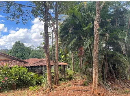 Área no Sítio de Recreio Ipê
