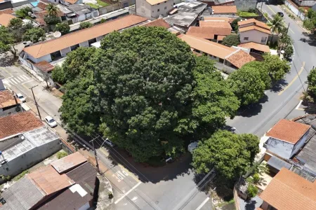 Área no Setor Leste Vila Nova
