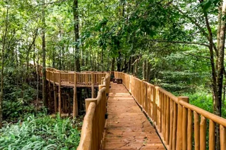 Terreno no Parqville Quaresmeira
