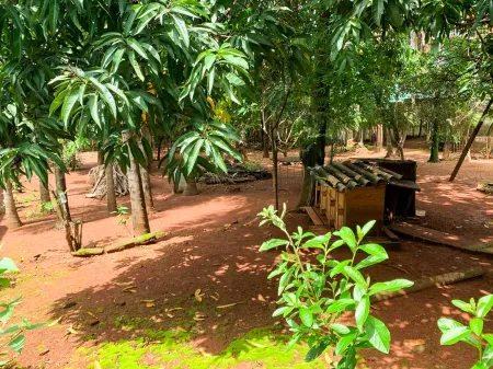 Área no Parque Industrial João Braz