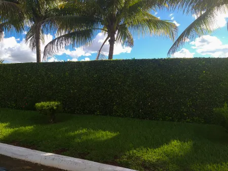 Chácara Sítio de Recreio Paraíso Tropical