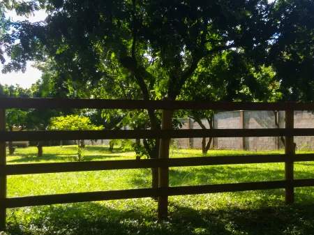 Chácara Sítio de Recreio Paraíso Tropical