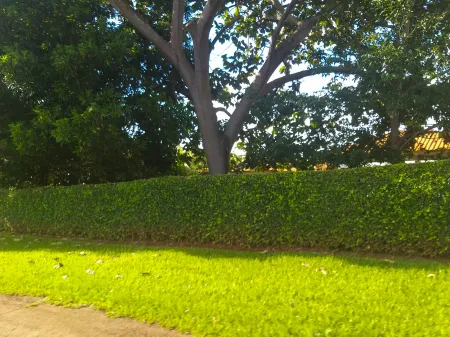 Chácara Sítio de Recreio Paraíso Tropical