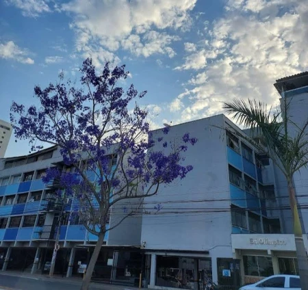 Edifício Olímpico