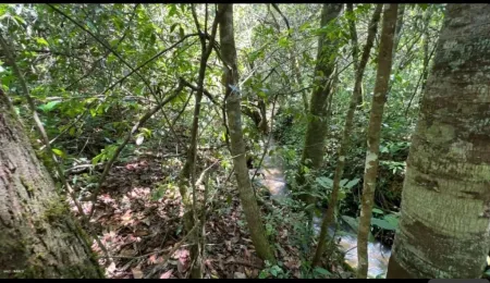 Chácara em Hidrolândia