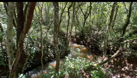 Chácara em Hidrolândia