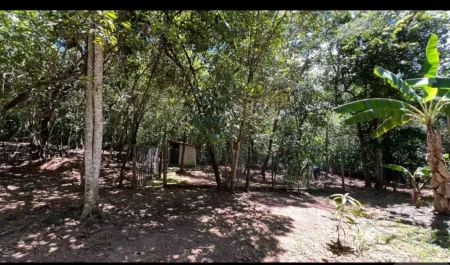 Chácara em Hidrolândia