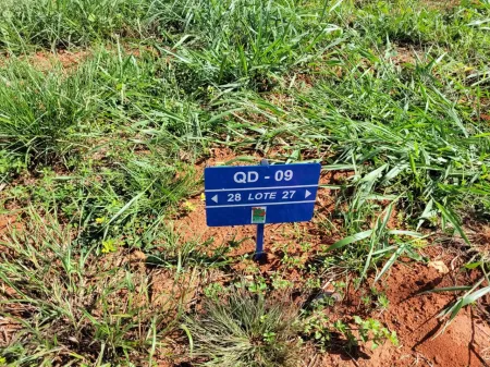 Lote no Jardins Parma