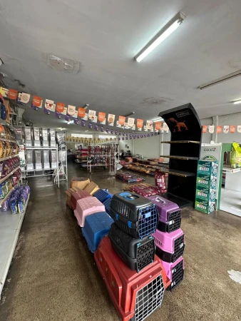 Loja Comercial Setor Areião