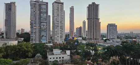 Vaca Brava 53