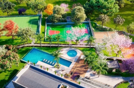 Lote Vinhas Flamboyant